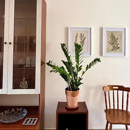 Appartamento La Casa Dell'artemisia