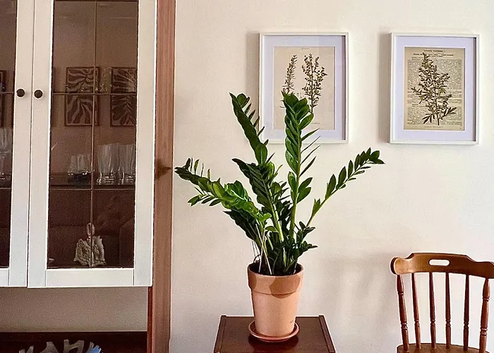 Апартаменты La Casa Dell'artemisia